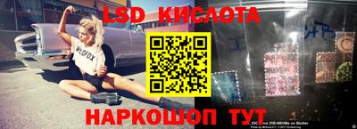прущие грибы Гудермес