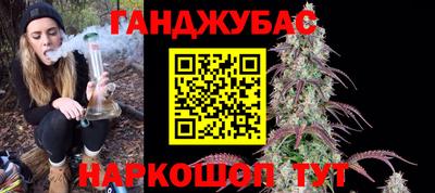 прущие грибы Гудермес